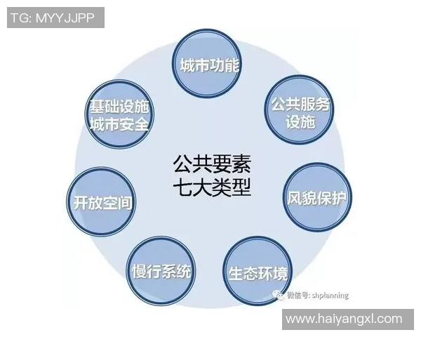 足球明星竞标规则制度的创新与实施探讨及其对市场的影响分析